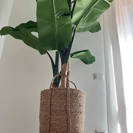 Kennedy Family Apts Appartamento *